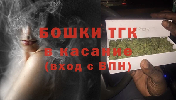 метадон Инсар
