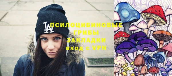 кристаллы Инта