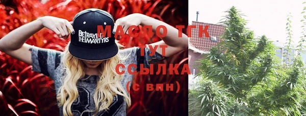 метадон Инсар