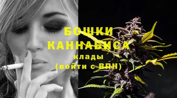 кристаллы Инта