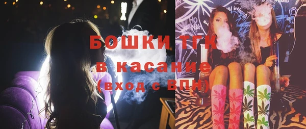 кристаллы Инта