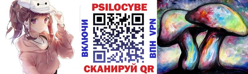 Купить  Кадников  Галлюциногенные грибы Psilocybine cubensis 