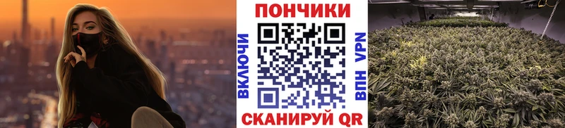 Купить закладки  Кадников  Каннабис план 